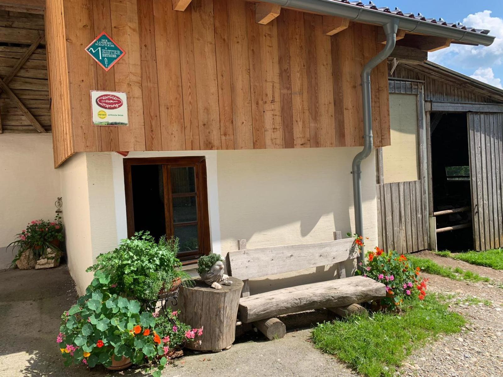فيلا Biohof Goelly Neumarkt in Steiermark المظهر الخارجي الصورة