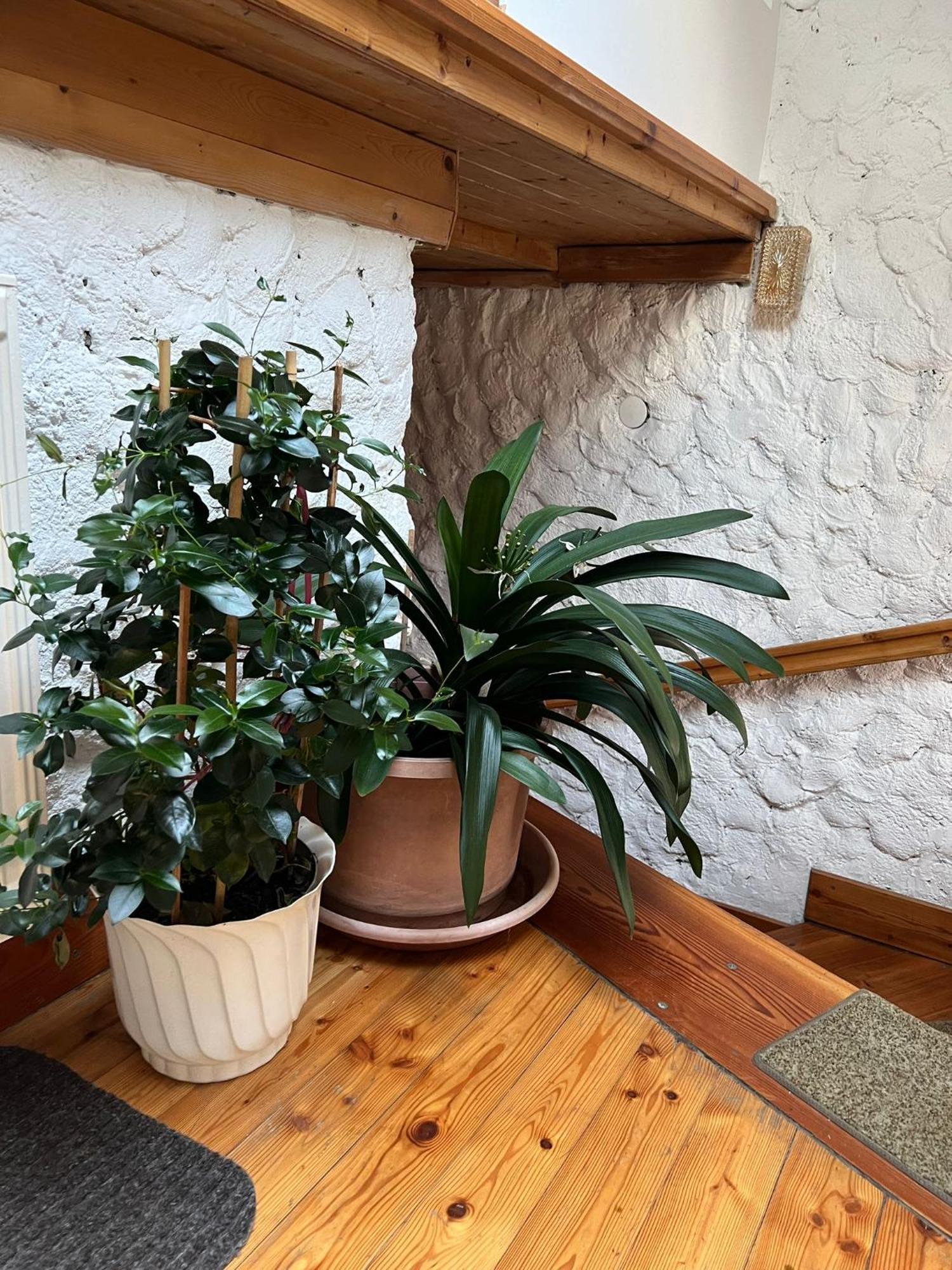 فيلا Biohof Goelly Neumarkt in Steiermark المظهر الخارجي الصورة