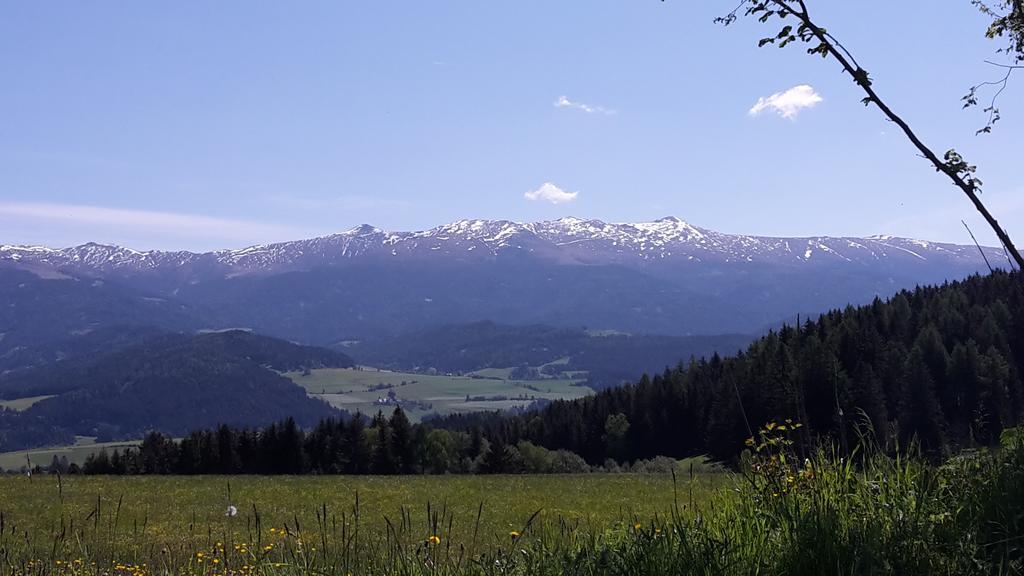 فيلا Biohof Goelly Neumarkt in Steiermark المظهر الخارجي الصورة